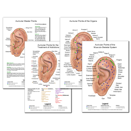 Auriculotherapy Master Wall Chart Set