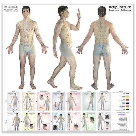 Acupuncture Wall Charts